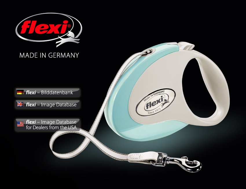 www.flexi.biz